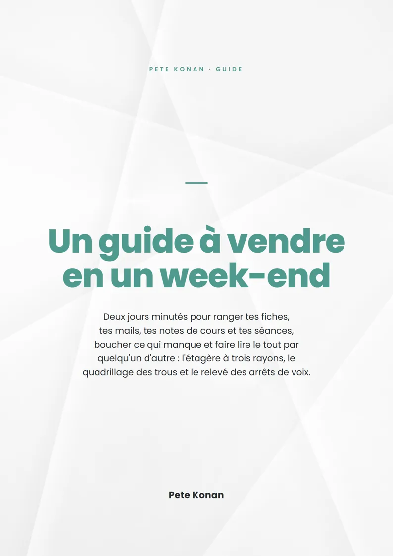 Couverture : Un guide à vendre en un week-end